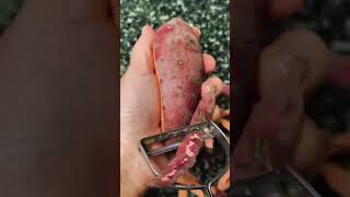 IMD 1288121446 mini  rotary tillage and ridging all-in one short view #travel#beach #flowers