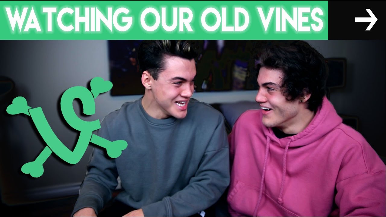 Watching Our Old Vines!