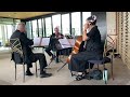 Wake Me Up by Avicii ~ String Quartet wedding cocktail hour, Columbus Musicians, LLC