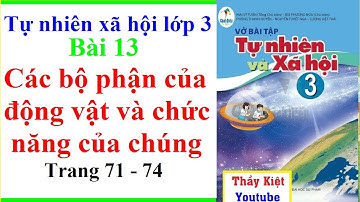 Tự Nhiên Xã Hội Lớp 3 Bài 13 | Các Bộ Phận Của Động Vật Và Chức Năng Của Chúng | Trang 71 |Cánh Diều
