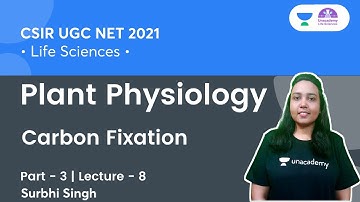 Carbon Fixation | Plant Physiology | CSIR UGC NET 2021 | By Surbhi Singh