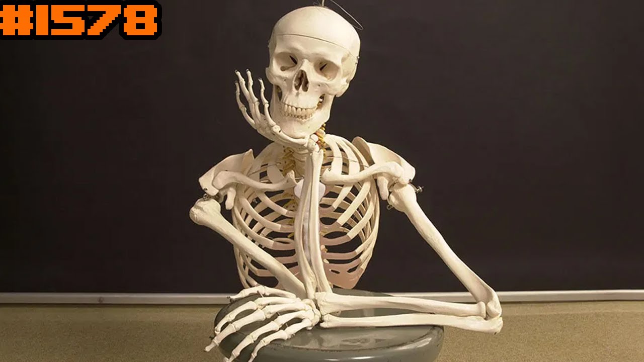 [1578] Eden стрик на 4 цели | На костях | The Binding of Isaac: Repentance+