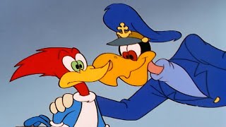 Woody goes to a desert island | Woody Woodpecker