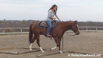 Twistin Moonshine - ranch versatility! - ValleyViewRanch.net
