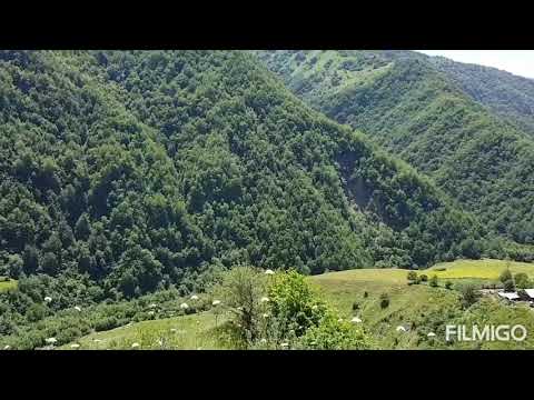 ფშავი უკანაფშავში