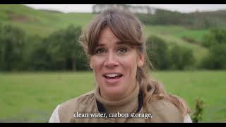 Carbon storage in the British Uplands - British Uplands Podcast
