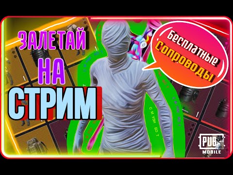ДЕЛАЕМ БЕСПЛАТНЫЕ СОПРОВОВОЖДЕНИЯ😱/МЕТРО РОЯЛЬ