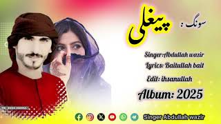 NEW SONG 2025 || SONG PEGHLY|| SINGER ABDULLAH WAZIR || WAZIRISTANI SONG || PAHTO SONG 