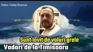 Vadari de la Timisoara - sunt lovit de valuri grele ( official Video ) 2022