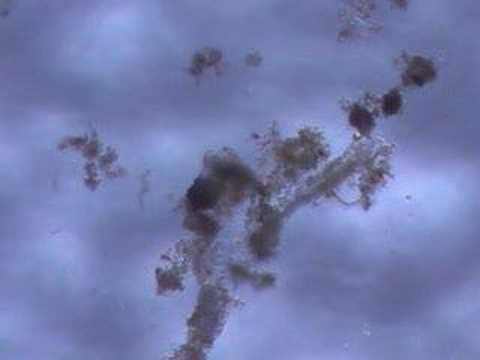 Pond 09/30/2006 pt 3 Pond 09/30/2006 pt 3