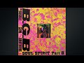 忘れじのエヴリナイト The Bubblegum Brothers 忘れじのエヴリナイト The Bubblegum Brothers