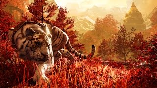 What Is the Best Far Cry Game Ever Made? (Video Game Video Review)