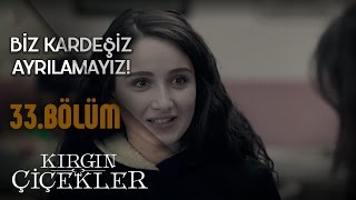 Kırgın Çiçekler 33.Bölüm - Kaçın Kurası - Yurtta Eğlenceli Dakikalar - Klip