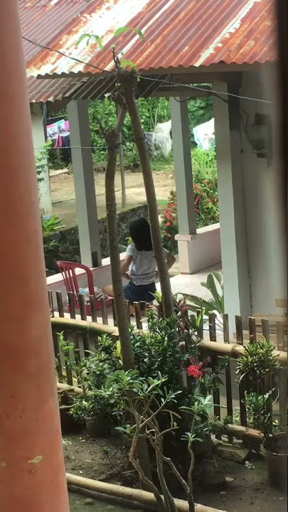 Story WA cewe main tik tok goyang bohay