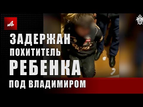 Задержан похититель ребёнка под Владимиром