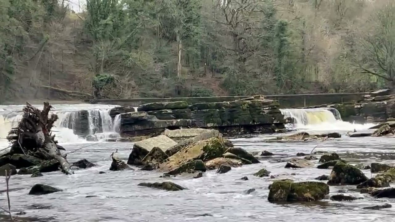 Living Waters