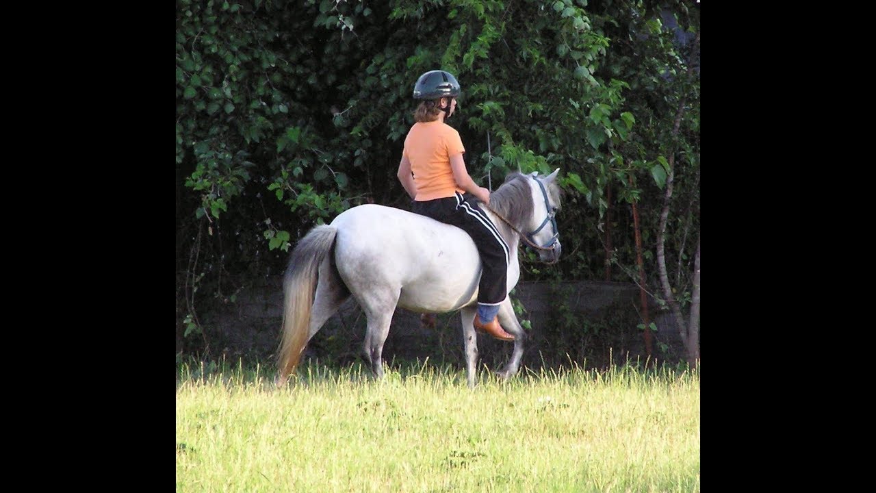 Caspian Horses and Kids -- they go together