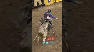 Celebrity 2021 NFR Winning Rides Round 8 – Stetson Wright Profile