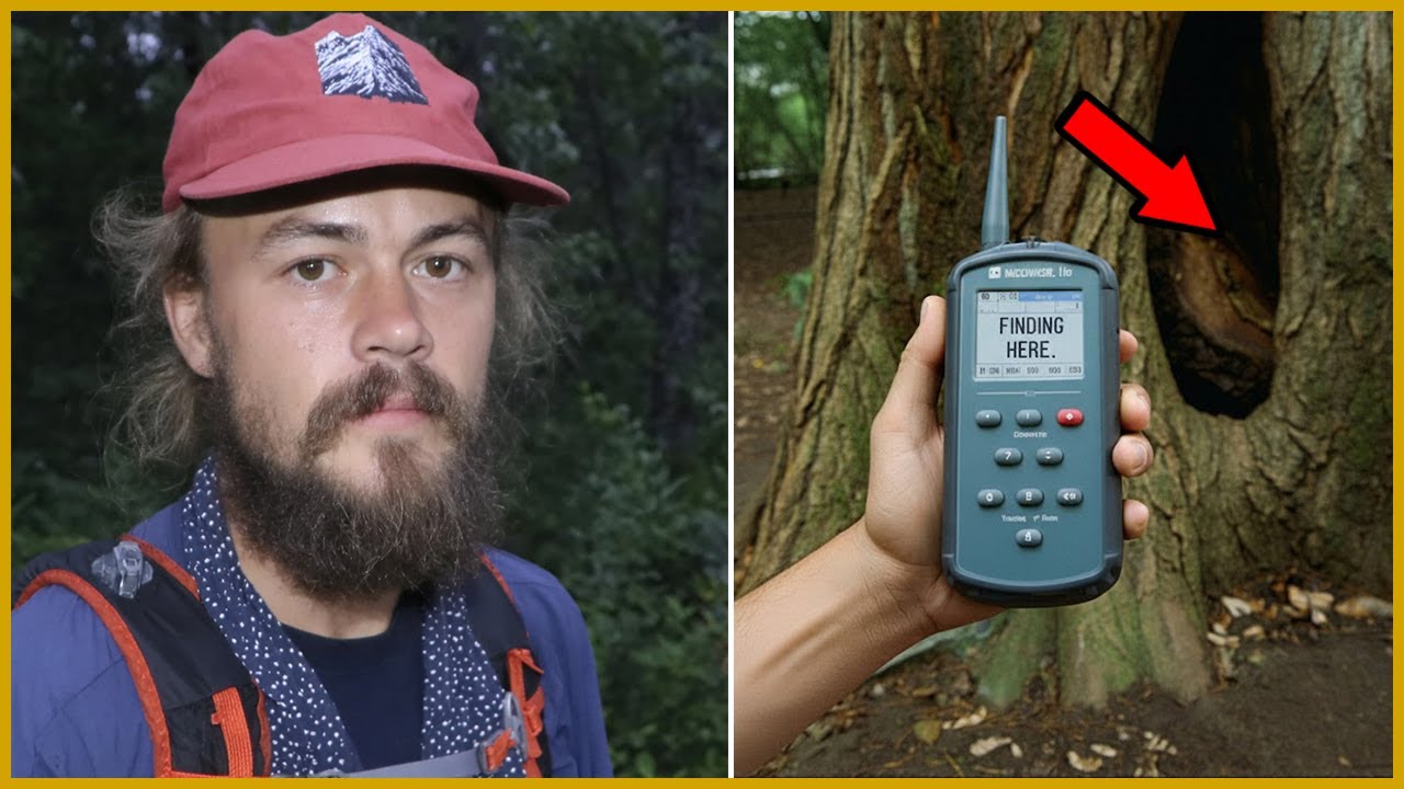 Турист пропал в горах Грейт-Смоки — через 6 лет его нашли в ДУПЛЕ ДЕРЕВА...
