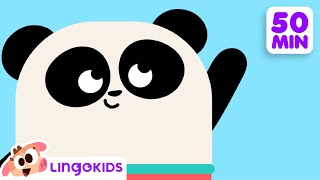 Five Senses Song + More Songs for Kids 🌈  Lingokids