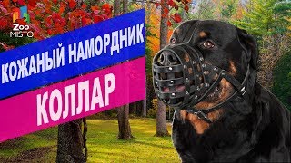 Кожаный намордник для собак | Обзор кожаный намордник для собак Collar Кожаный намордник для собак | Обзор кожаный намордник для собак Collar
