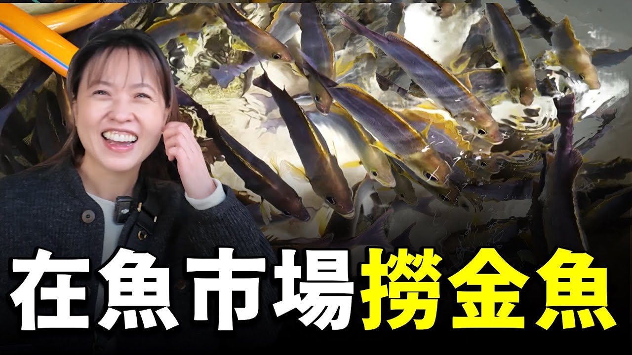 要買活魚就來這裡！猩弟把基隆和平島魚港市場逛成夜市撈魚！大家想體驗看看嗎？這種螺肉牙齒不好千萬別吃...