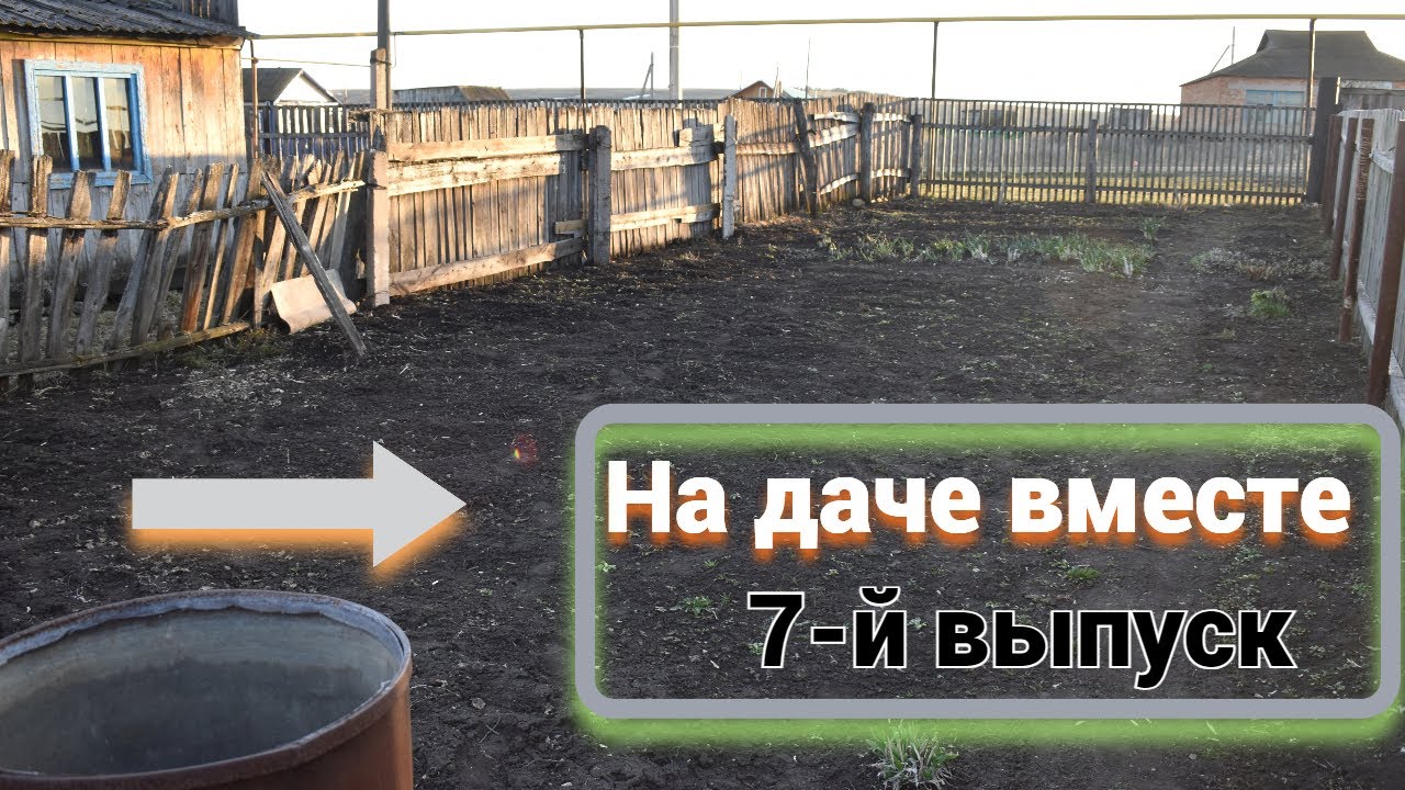 Уборка участка/Мыши на даче/Что хранится в погребе - YouTube