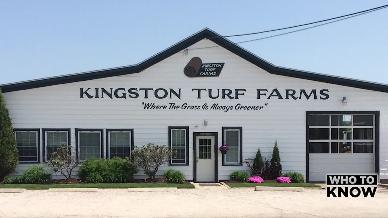 Who To Know Kingston Turf Farms YouTube