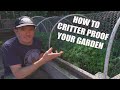 HOW TO CRITTER PROOF YOUR URBAN GARDEN