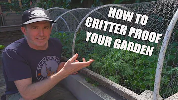 HOW TO CRITTER PROOF YOUR URBAN GARDEN