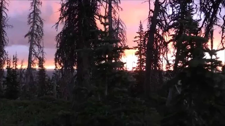Reflections of a 2014 Utah Archery Hunt