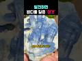 바다를 닮았다는 돌멩이