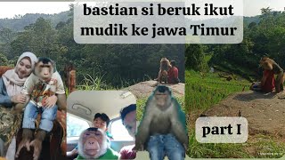 MUDIK BAWA BERUK!!! BERUK BASTIAN IKUT MUDIK KE JAWA TIMUR!!!