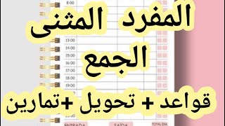 المفرد والمثنى والجمع ( قواعد + تحويل +تمارين )