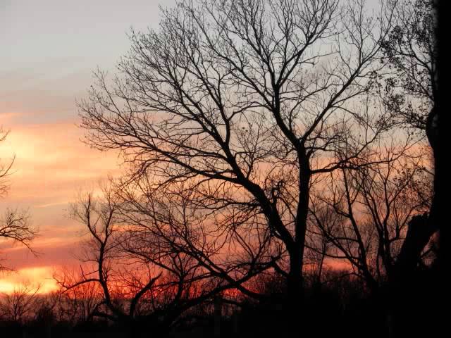 Chris Otto Kansas Sunset bekijken op YouTube Chris Otto Kansas Sunset bekijken op YouTube