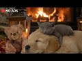 🐕🎹Music for Dogs | Helps Relieve Anxiety and Loneliness | Music for Puppies🎶
