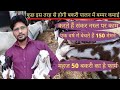 बकरी पालन के व्यवसाय में इस तरह से होगी मोटी कमाई, Goat Farming Business, Black Bangal, Barbari goat