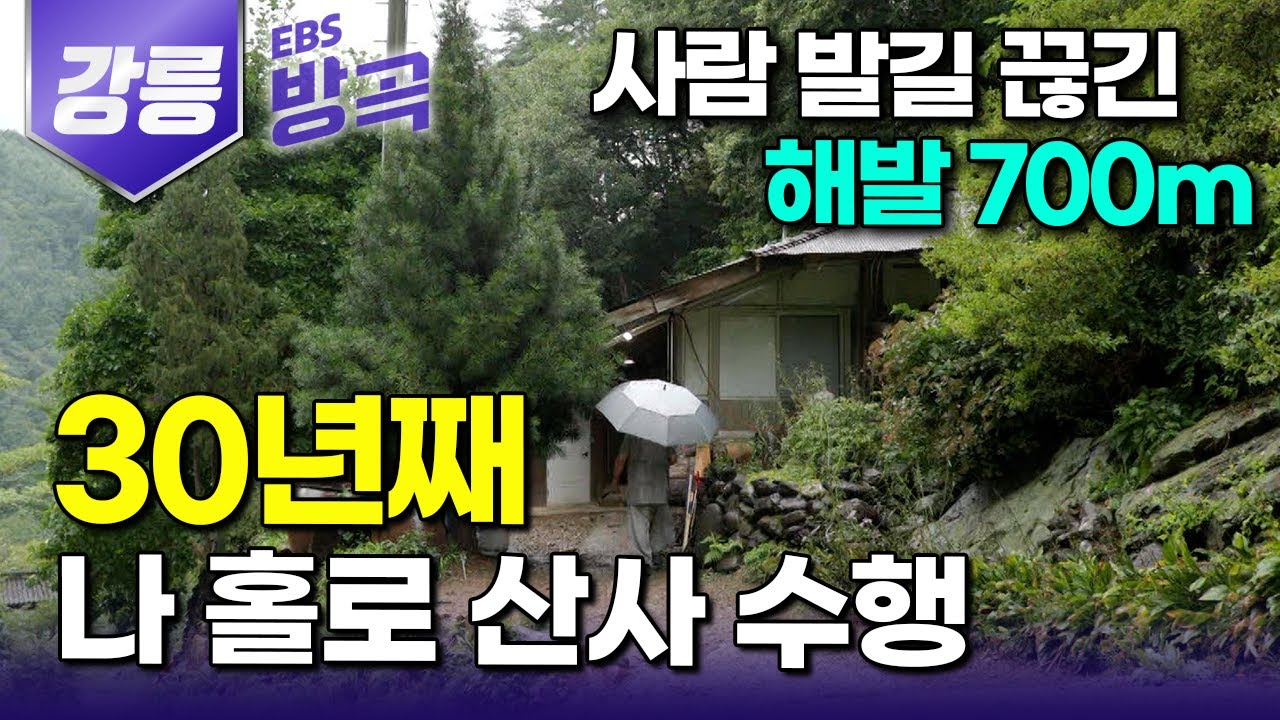 [강원 강릉] 화전민 모두 떠나고 찾는 사람 하나 없이 쑥대밭이던 산골 집터로 강아지 세 마리와 들어와 고요히 수행하는 스님｜홀로 지은 사찰에서 30년째｜#한국기행 #방방곡곡