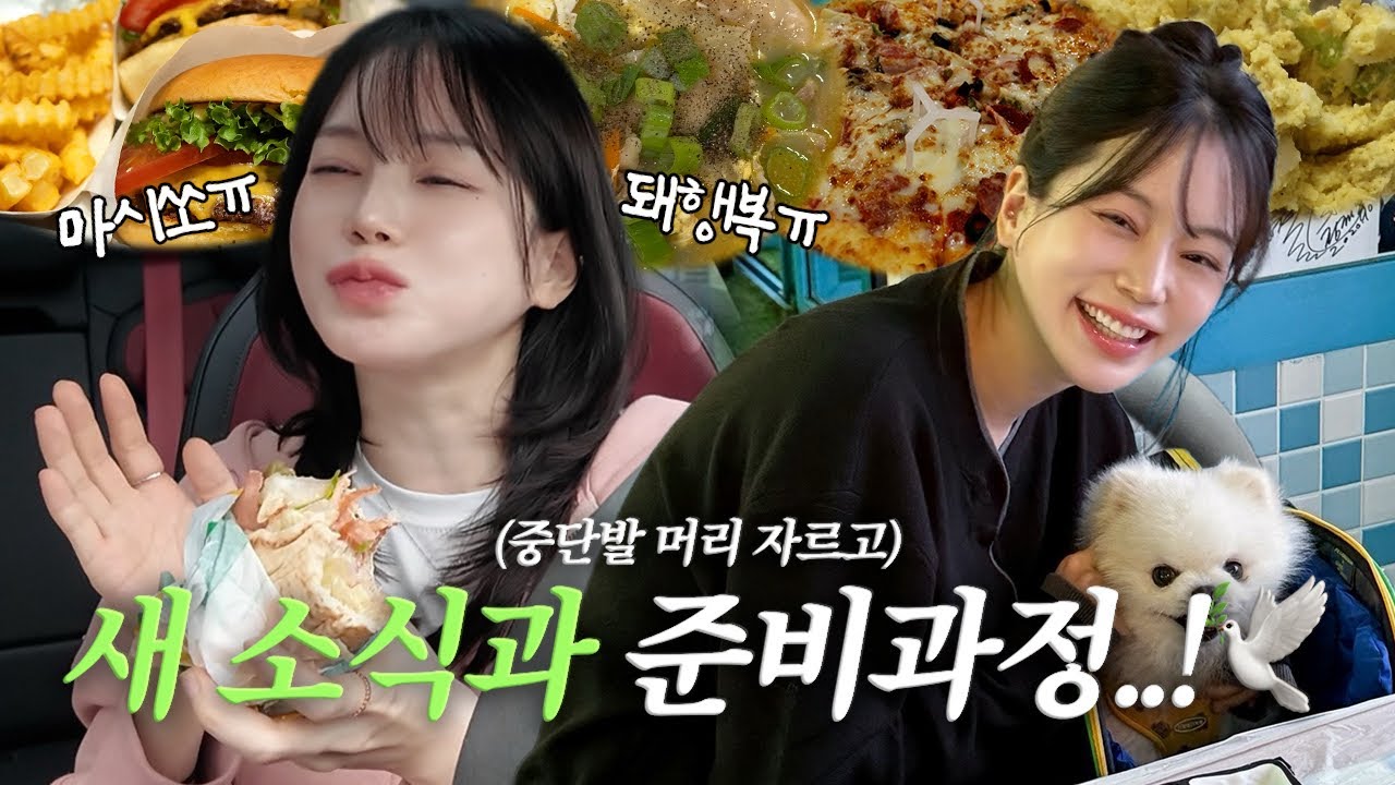 vlog | 새소식🕊️+준비 과정 | 중단발 더 짧게 자르고 차에서 혼밥 | 서브웨이 | 냉삼 | 버터 간장 계란 비빔밥 | 쉑쉑 햄버거 | 매운 쭈꾸미 치즈 덮밥 | 파파존스