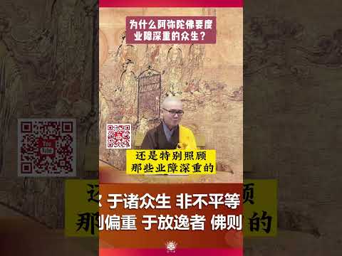 为什么阿弥陀佛要度业障深重的众生？ #净土宗 #净本法师 #南無阿彌陀佛
