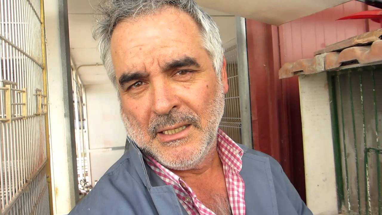 Paloma Campeona Insular de Gran Fondo 2012 de la FICT, FCC 73458-2O11