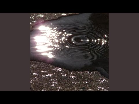 Tonton 花瓣 di YouTube