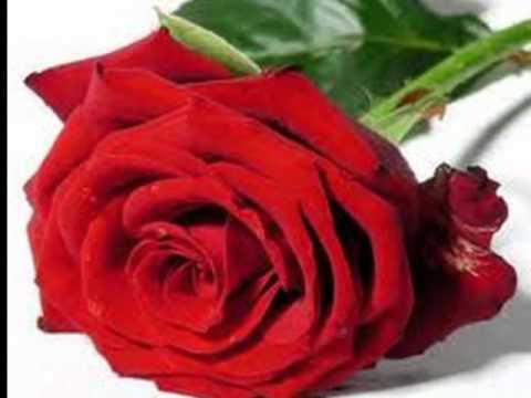 Te Canto Esta Sevillana Youtube