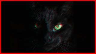 BlackCat Hacked The Healthcare Industry by Mental Outlaw 115,900 views 2 months ago 14 minutes, 15 seconds