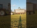 силосование 2025 года силос Jaguar Claas силосование 2025 года силос Jaguar Claas