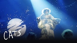 The Ad-dressing of the Cats | Cats the Musical chords