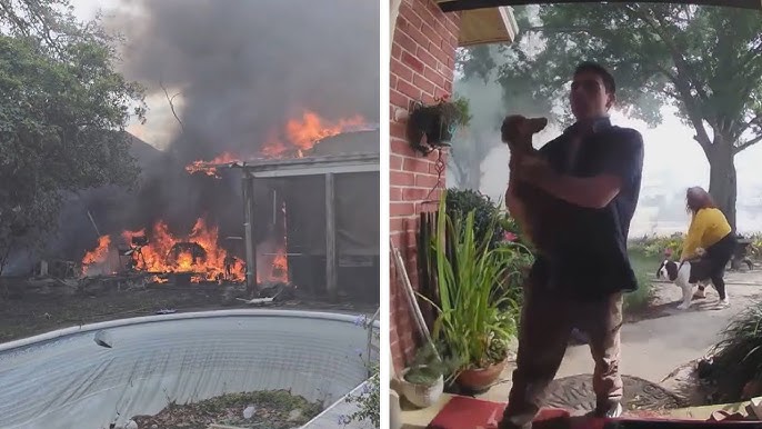 16 Year Old Risks Life To Save Dogs Trapped In Florida House Fire