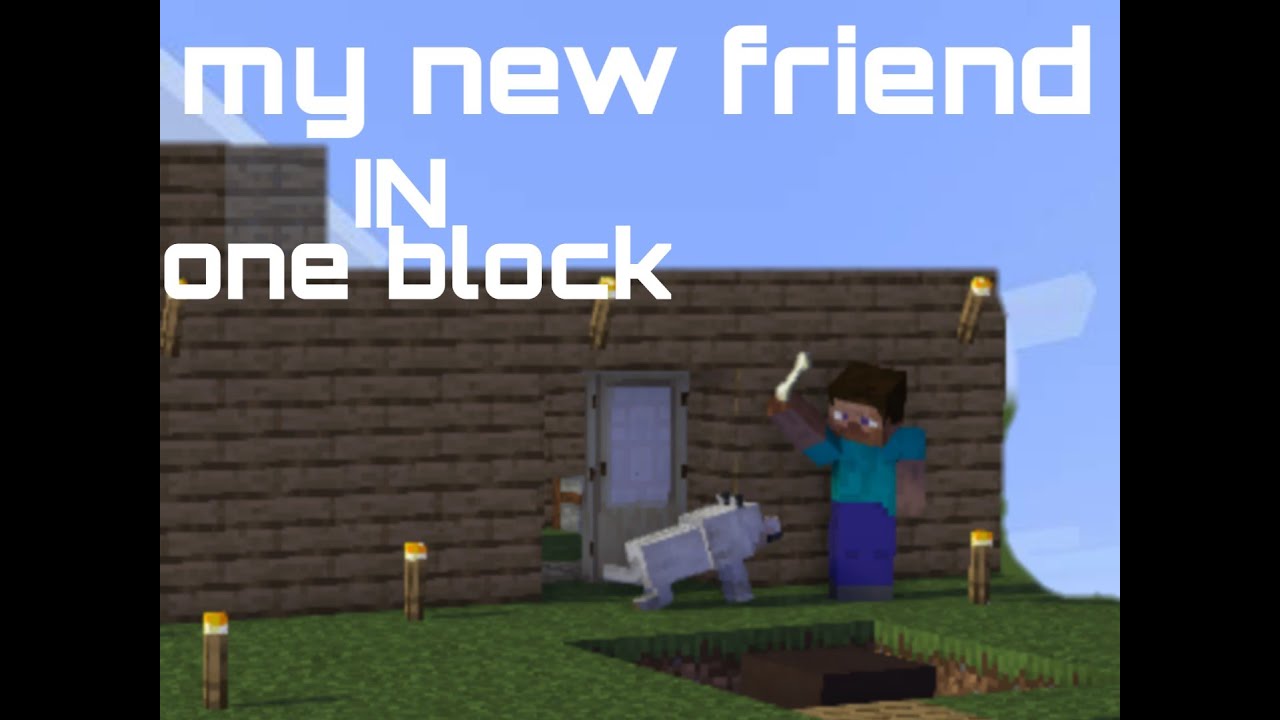 Minecraft java edtion /got/ my new friend / and ONE BLOCK ...