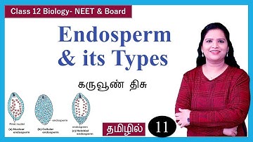 Post Fertilisation Events | Endosperm Formation