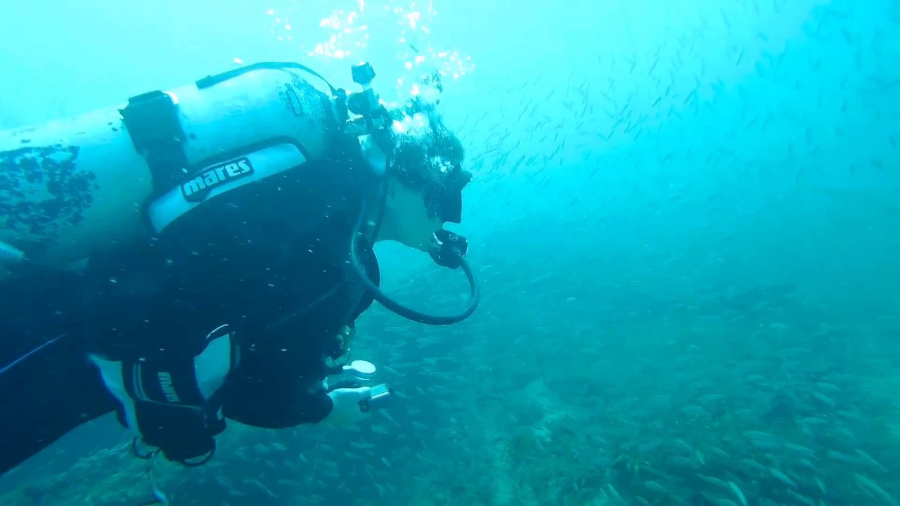 Diving the Dixie Arrow, Outer Banks NC with the Akaso Brave 4. YouTube